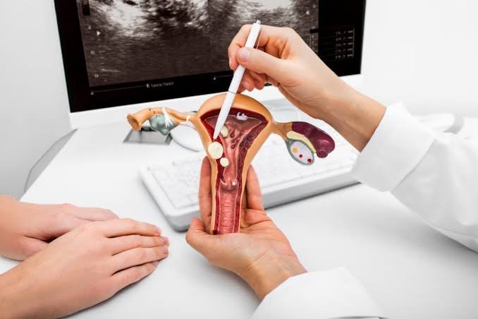 Infertility Consultation